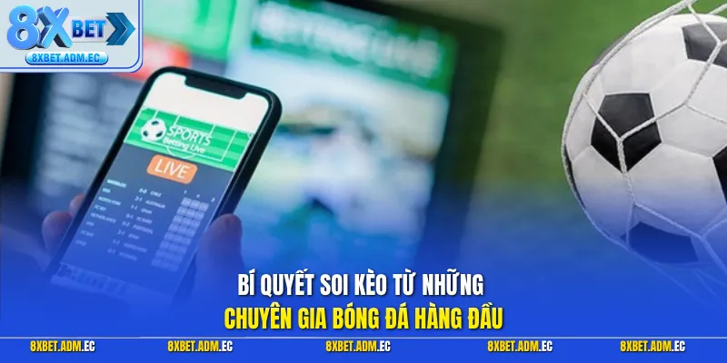 Bí quyết soi kèo từ những chuyên gia bóng đá hàng đầu