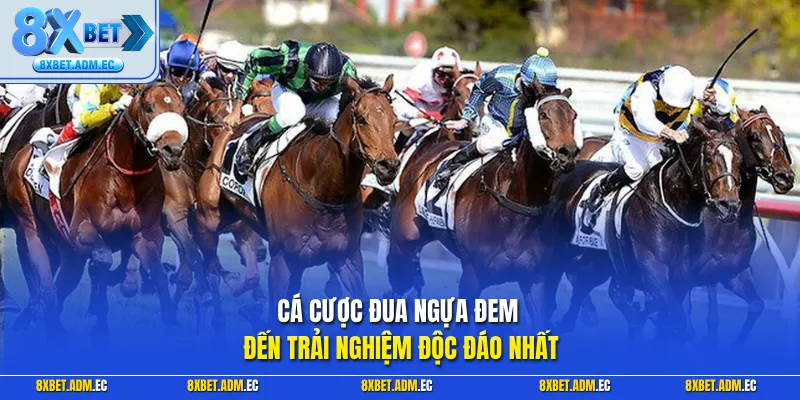 Cá cược đua ngựa đem đến trải nghiệm độc đáo nhất