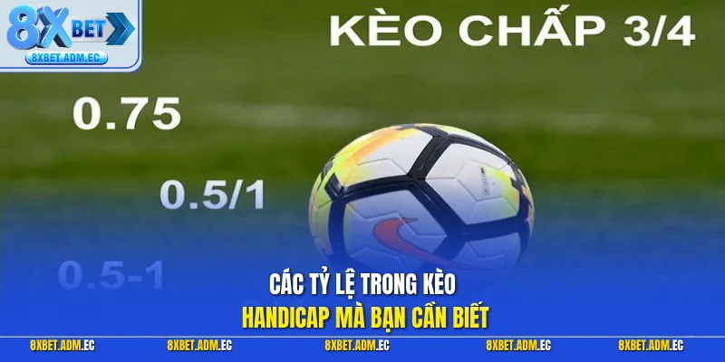 Các tỷ lệ trong kèo Handicap mà bạn cần biết