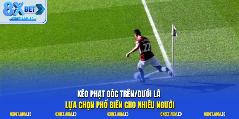 Kèo phạt góc trên/dưới là lựa chọn phổ biến cho nhiều người