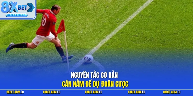 Nguyên tắc cơ bản cần nắm để dự đoán cược
