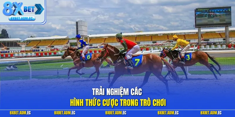 Trải nghiệm các hình thức cược trong trò chơi